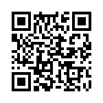 353TB5I250T QRCode