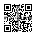 353TB5I384T QRCode