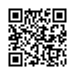 353VB3A400T QRCode