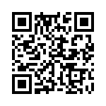 353VB3C163T QRCode