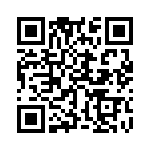 353VB3I081R QRCode