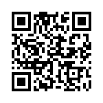 353VB3I163R QRCode