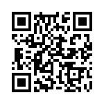 353VB5A480T QRCode