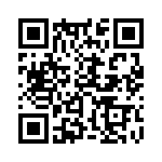 353VB5C135T QRCode