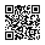 353VB5I081R QRCode