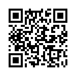 353VB5I388T QRCode