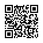 353WB5A250T QRCode