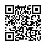 353WB5C384T QRCode