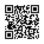 353WB5C491T QRCode