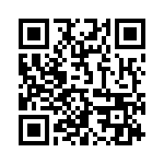 381 QRCode