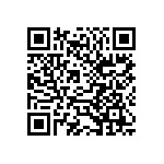 381LX271M250H032 QRCode