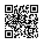 381N500 QRCode