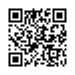 385500M1231 QRCode