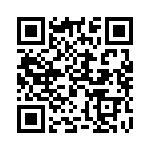3858-036 QRCode