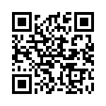 38BT-4-V-4-S QRCode