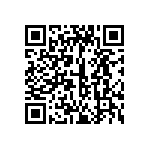 399-V3-137-10-009101 QRCode