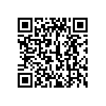 399-V3-162-10-009101 QRCode