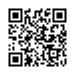 3P1210102 QRCode