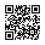 4-102978-0-17 QRCode