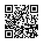 4-1393761-6 QRCode