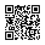 4-1393806-6 QRCode