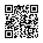 4-1393813-3 QRCode