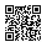 4-1393819-5 QRCode