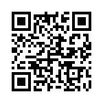 4-1546703-1 QRCode