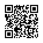 4-1624200-0 QRCode