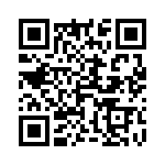 4-1624200-1 QRCode
