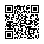 4-1625868-2 QRCode