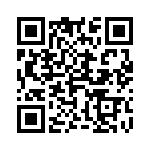 4-1625868-3 QRCode