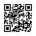 4-1625868-9 QRCode