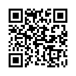 4-173146-1 QRCode