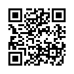 4-1734839-4 QRCode