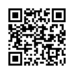 4-521385-4 QRCode