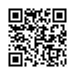 4-641213-1 QRCode