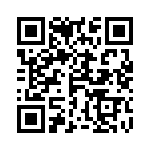 4-641313-3 QRCode