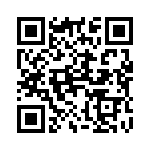 400387 QRCode