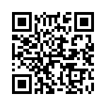 4010-DASKF_868 QRCode