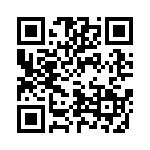 4020175100 QRCode