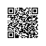 410-K-2-02-125A QRCode