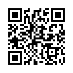 41010 QRCode