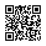 4116R-1-913 QRCode