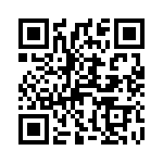 41313 QRCode