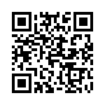 4160-202-2031 QRCode