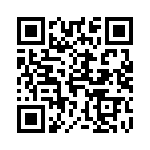 416F38013IDR QRCode