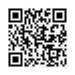 42-6513-11H QRCode