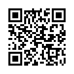 42400620101 QRCode
