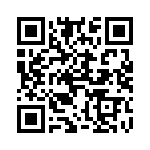 4280-4PG-300 QRCode